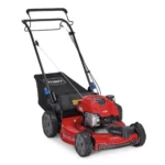 Toro Recycler 22-Inch 150cc Briggs & Stratton Self-Propelled SmartStow Gas Lawn Mower