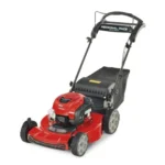Toro Recycler 22-Inch 163cc Briggs & Stratton Personal Pace Rear-Wheel-Drive Self-Propelled Lawn Mower
